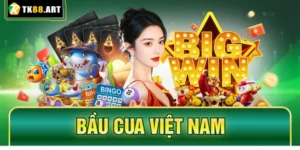Bầu Cua Việt Nam Tại TK88 - Luật Chơi & Mẹo Thắng