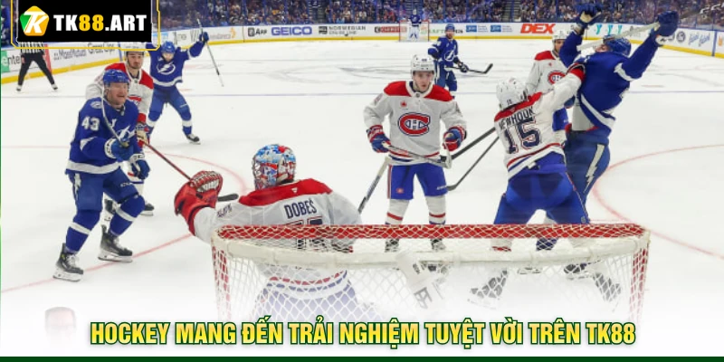 Hockey Tại TK88 - Tham Gia Bắt Kèo Hấp Dẫn Ngay Trong Trận 2 Hockey mang đến trải nghiệm tuyệt vời trên TK88