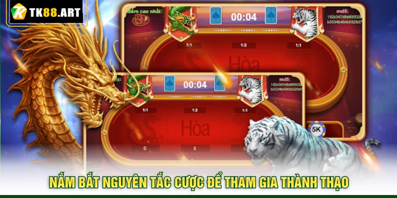 Phương Pháp Chơi Rồng Hổ - Chia Sẻ Kinh Nghiệm Từ TK88 3 Nắm bắt nguyên tắc cược để tham gia thành thạo
